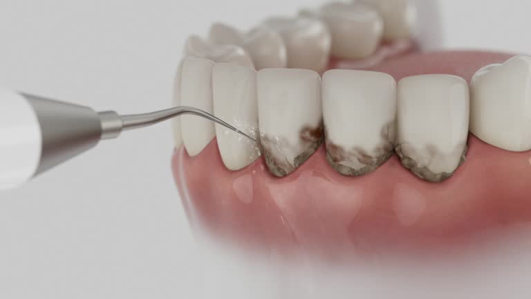 Reliable Dental contractor in Livingston County County, NY by Dentist Open Now